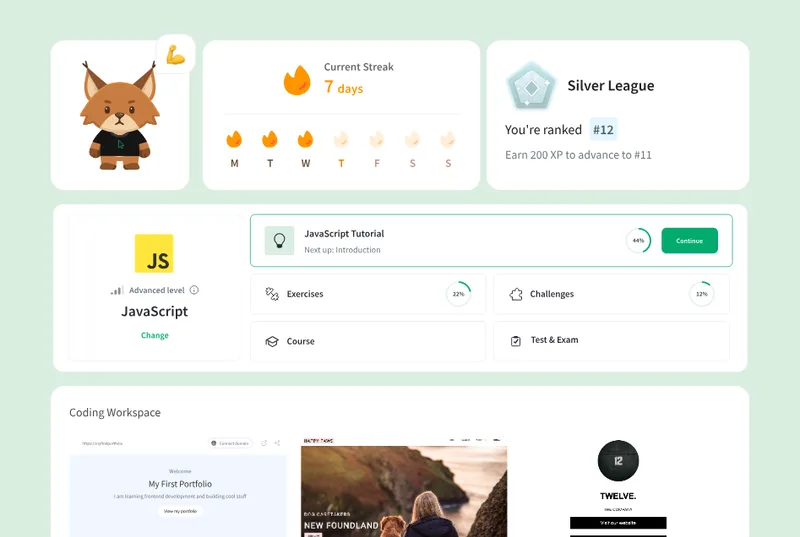 homescreen window with streak, ranking, coding workspace, avatar, and course plan